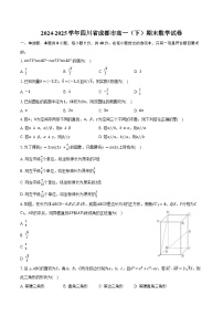 2024-2025学年四川省成都市高一（下）期末数学试卷（含解析）