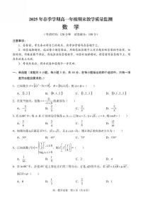 广西南宁市部分学校2024-2025学年高一下学期6月期末考试 数学 PDF版含解析含答案解析