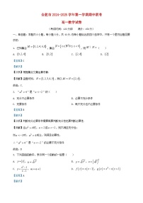 安徽省合肥市2024_2025学年高一数学上学期期中试卷含解析