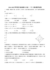 2024-2025学年四川省成都七中高一（下）期末数学试卷（含解析）