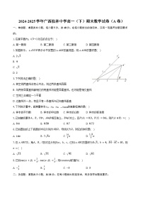 2024-2025学年广西桂林中学高一（下）期末数学试卷（A卷）（含解析）