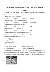 2024-2025学年陕西省渭南市大荔县高二下学期期末质量检测数学试卷（含解析）