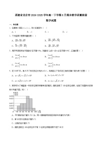 福建省龙岩市2024-2025学年高一下学期期末考试数学试卷（Word版附解析）