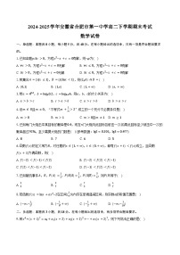 2024-2025学年安徽省合肥市第一中学高二下学期期末考试数学试卷（含解析）