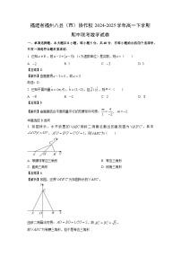 福建省福州八县（市）协作校2024-2025学年高一下期中联考数学试卷（解析版）