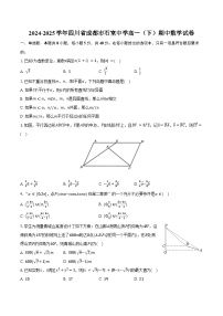 2024-2025学年四川省成都市石室中学高一（下）期中数学试卷（含解析）