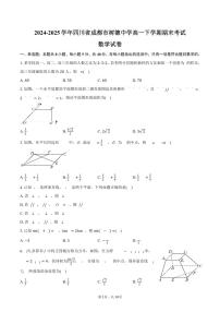 2024-2025学年四川省成都市树德中学高一下学期期末考试数学试卷（含答案）