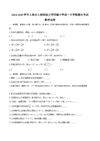 2024-2025学年上海市上海财经大学附属中学高一下学期期末考试数学试卷（含解析）