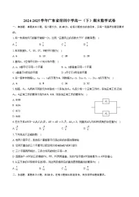 2024-2025学年广东省深圳中学高一（下）期末数学试卷（含解析）