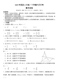 湖北省武汉市第二中学2024-2025学年高一下学期6月月考数学试卷