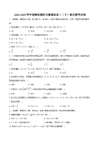 2024-2025学年湖南省衡阳市衡南县高二（下）期末数学试卷（含解析）