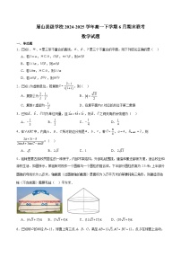 四川省眉山市县级学校2024-2025学年高一下学期期末联考数学试卷（Word版附解析）