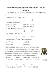 2024-2025学年四川省泸州市龙马潭区泸化中学高一（下）期中数学试卷（含解析）