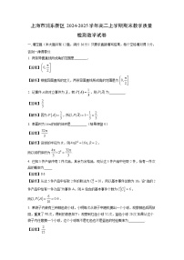 【数学】上海市浦东新区2024-2025学年高二上学期期末教学质量检测试卷（解析版）