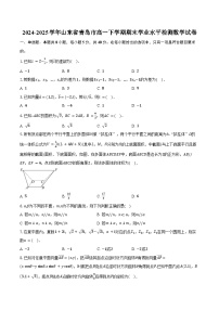 2024-2025学年山东省青岛市高一下学期期末学业水平检测数学试卷（含解析）