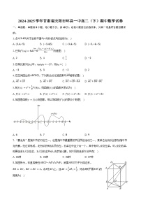 2024-2025学年甘肃省庆阳市环县一中高二（下）期中数学试卷（含答案）