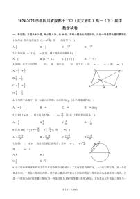 2024-2025学年四川省成都十二中（川大附中）高一（下）期中数学试卷（含解析）