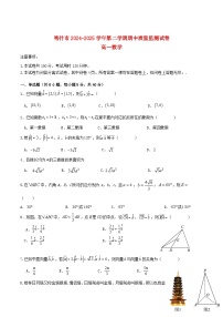 新疆喀什市2024_2025学年高一数学下学期期中测试