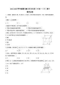 2024-2025学年新疆乌鲁木齐市兵团二中高一（下）期中数学试卷（含解析）