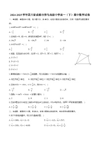 2024-2025学年四川省成都市养马高级中学高一（下）期中数学试卷（含解析）