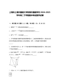上海市上海外国语大学附属外国语学校2024-2025学年高二下学期期中考试数学试卷（含答案+解析）