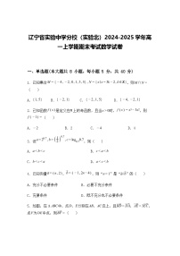 辽宁省实验中学分校（实验北）2024-2025学年高一上学期期末考试数学试卷（含答案解析）