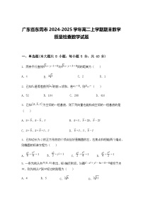 广东省东莞市2024-2025学年高二上学期期末教学质量检查数学试题（含答案解析）