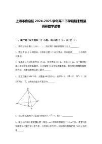 上海市嘉定区2024-2025学年高二下学期期末质量调研数学试卷（含答案解析）