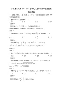 广东省汕尾市2024-2025学年高二上学期教学质量监测数学试卷（解析版）