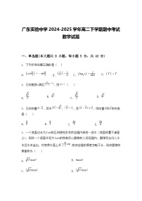 广东实验中学2024-2025学年高二下学期期中考试数学试题（含答案解析）