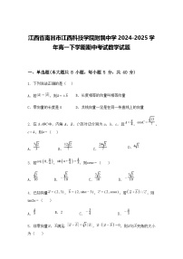 江西省南昌市江西科技学院附属中学2024-2025学年高一下学期期中考试数学试题（含答案解析）