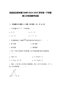 安徽省合肥市第八中学2024-2025学年高一下学期第三次检测数学试题（含答案解析）