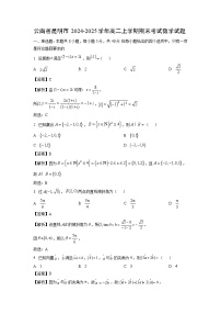 云南省昆明市2024-2025学年高二上学期期末考试数学试题（解析版）