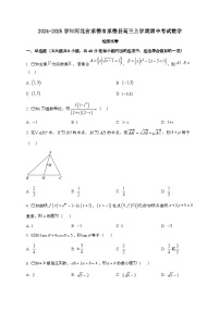 2024_2025学年河北省承德市承德县高三上学期期中考试数学试卷