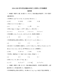 2024_2025学年河北省衡水市高三上学期12月考试数学试卷[附解析]