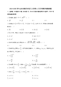 2024_2025学年山东省临沂市高三上学期11月月考数学试卷