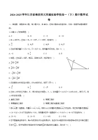 2024-2025学年江苏省南京师大附属实验学校高一（下）期中数学试卷（含答案）