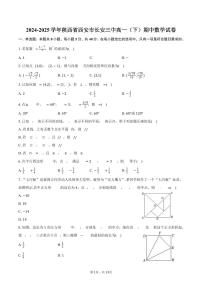 2024-2025学年陕西省西安市长安三中高一（下）期中数学试卷（含解析）