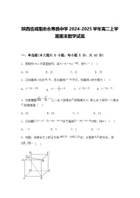 陕西省咸阳市永寿县中学2024-2025学年高二上学期期末数学试题（含答案解析）