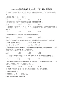 2024-2025学年安徽省合肥六中高一（下）期末数学试卷（含答案）