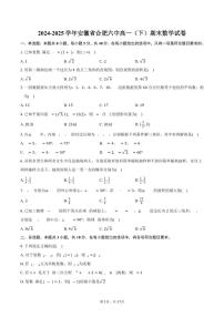 2024-2025学年安徽省合肥六中高一（下）期末数学试卷（含解析）