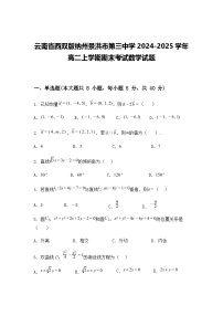 云南省西双版纳州景洪市第三中学2024-2025学年高二上学期期末考试数学试题