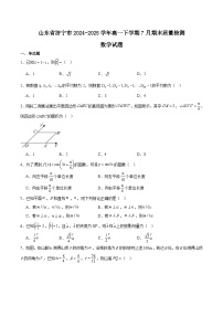山东省济宁市2024-2025学年高一下学期期末考试数学试题（Word版附解析）