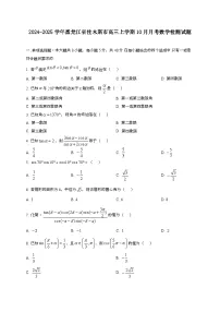 2024~2025学年黑龙江省佳木斯市高三上册10月月考数学试卷[有解析]