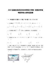 2025届湖北省武汉市华中师范大学第一附属中学高三下高考数学核心素养模拟试题卷（含答案解析）
