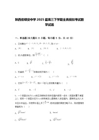 陕西省镇安中学2025届高三下学期全真模拟考试数学试题（含答案解析）