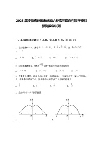 2025届安徽省蚌埠市蚌埠六校高三下适应性联考模拟预测数学试题（含答案解析）