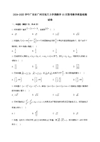 2024~2025学年广东省广州市高三上学期教学10月联考数学试卷（含解析）