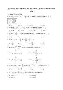 2024~2025学年广西壮族自治区南宁市高三上学期12月联考数学试卷【有解析】