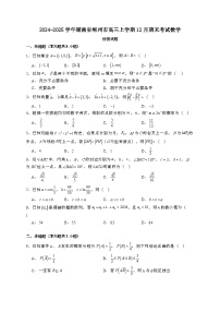 2024~2025学年湖南省郴州市高三上学期12月期末考试数学试卷【有解析】